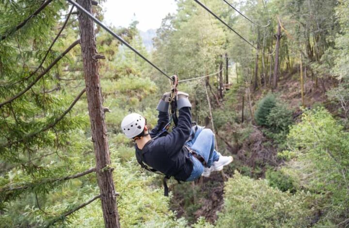 Sonoma Coast Canopy Tours