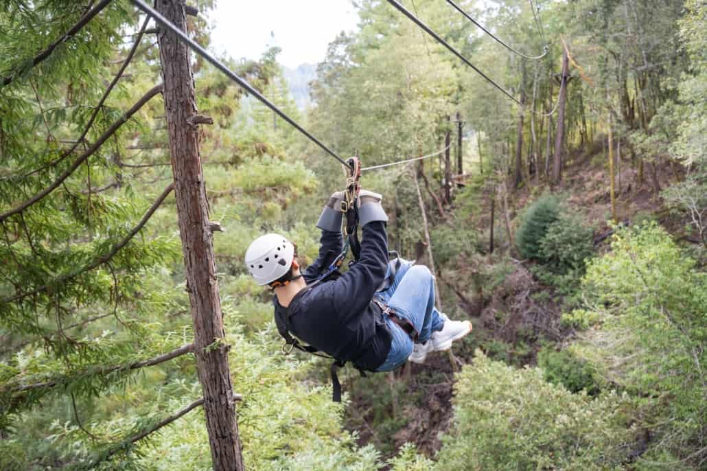 sonoma canopy tours buy one get one free